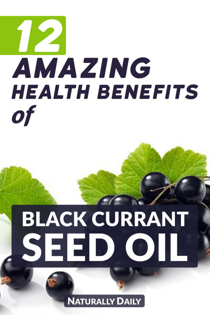 12-Amazing-Health-Benefits-of-Black-Currant-Seed-Oil(title-image)