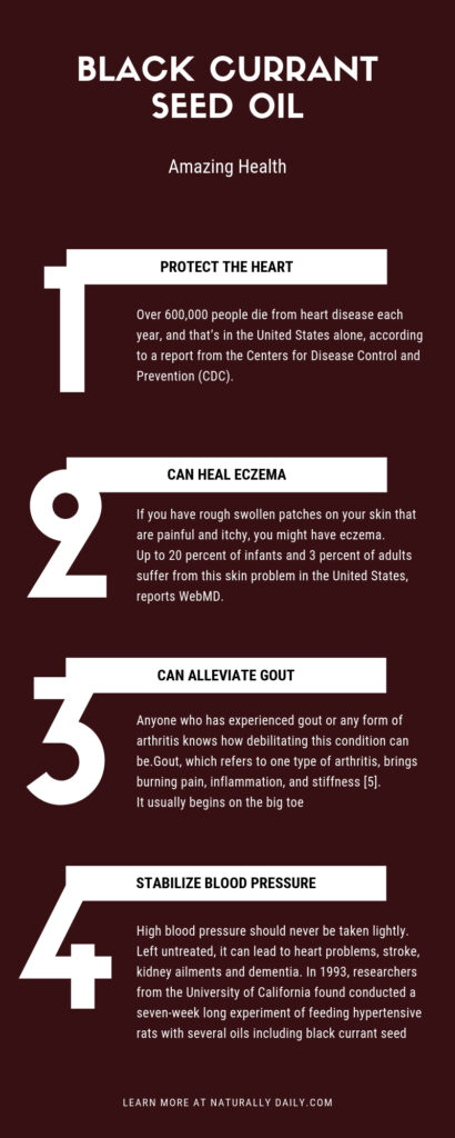 12-Amazing-Health-Benefits-of-Black-Currant-Seed-Oil(infographic)