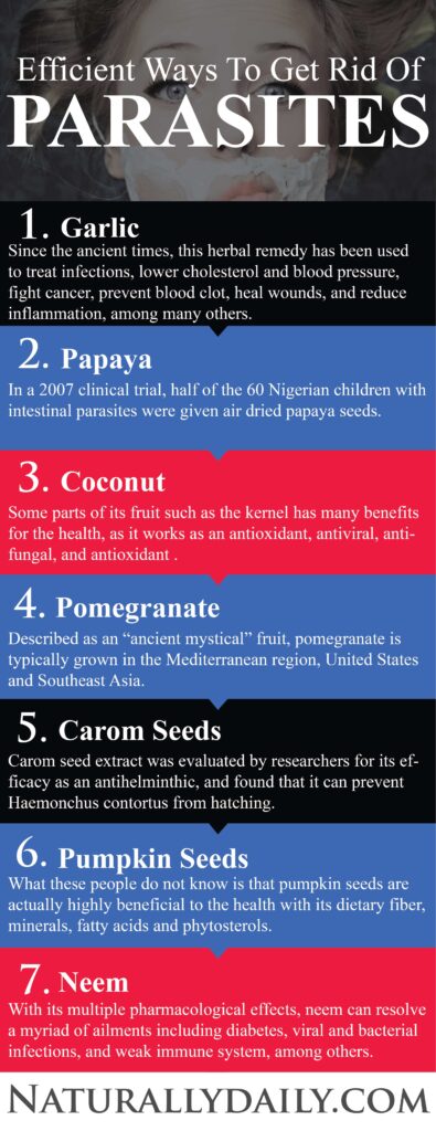 Natural-Ways-to-Get-Rid-of-Parasites(infographic)