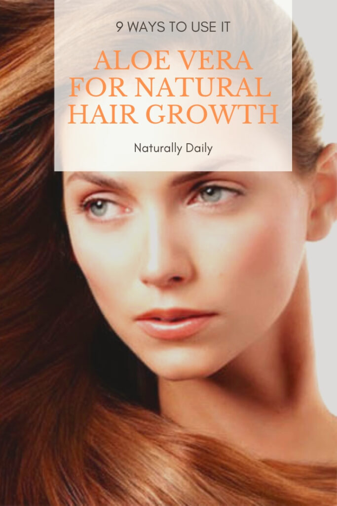 ALOE-VERA-FOR-NATURAL-HAIR-GROWTH(title-image)