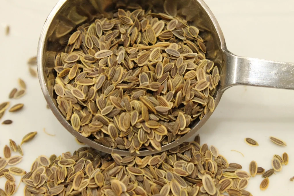 Dill-Seeds