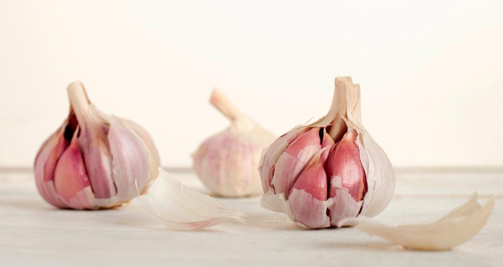 Garlic