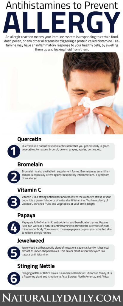 Natural Antihistamines to Prevent Allergy
