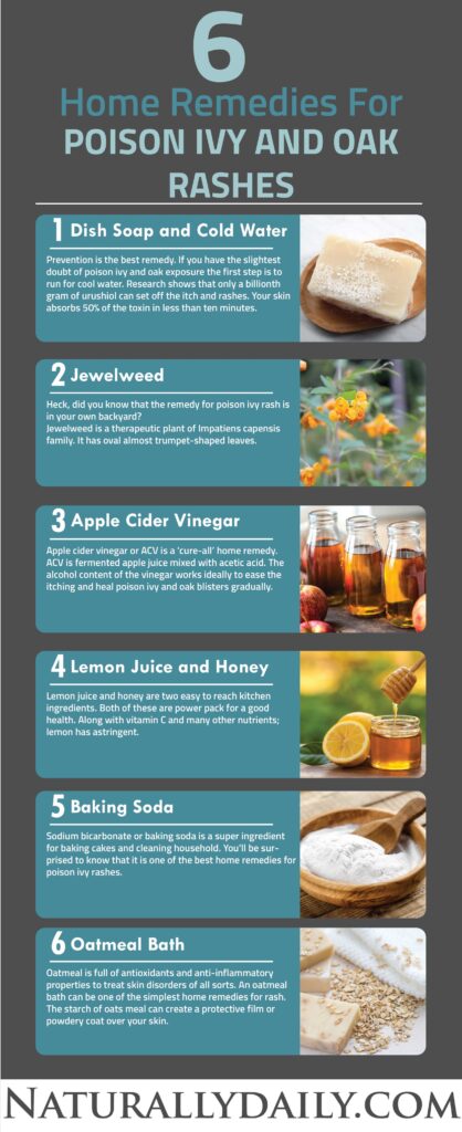 12-Home-Remedies-for-Poison-Ivy-and-Oak-Rashes-with-Useful-Tips(infographic)