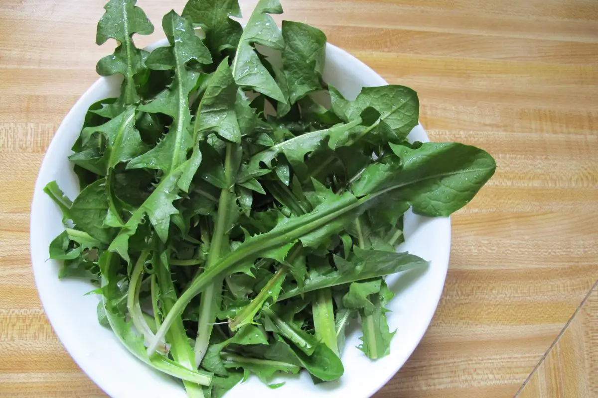 Broccoli Rabe Substitutes in Pastas & Salads