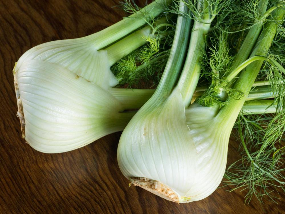 Fennel