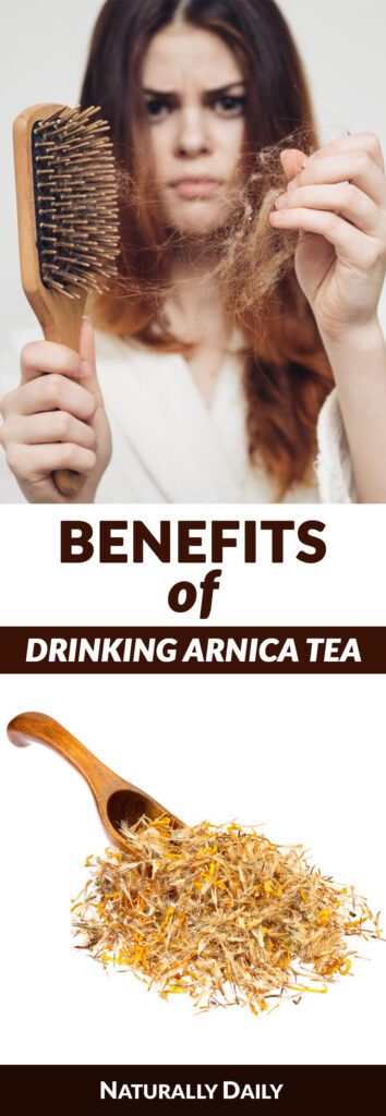Benefits-of-drinking-Arnica-tea(title-image)