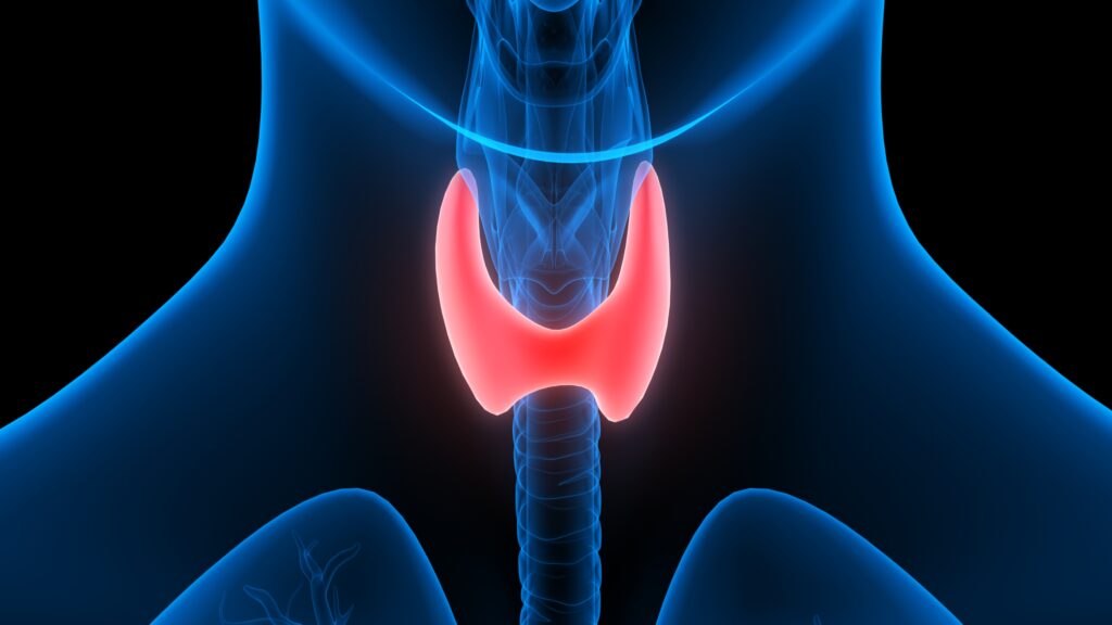 Thyroid Condition