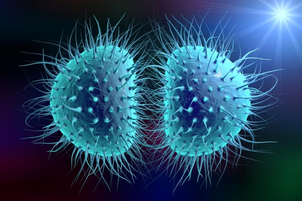 Viral-Meningitis