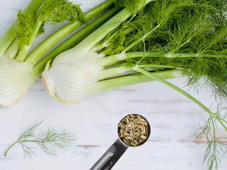 fennel-seeds-as-Caraway-Seed-Substitutes