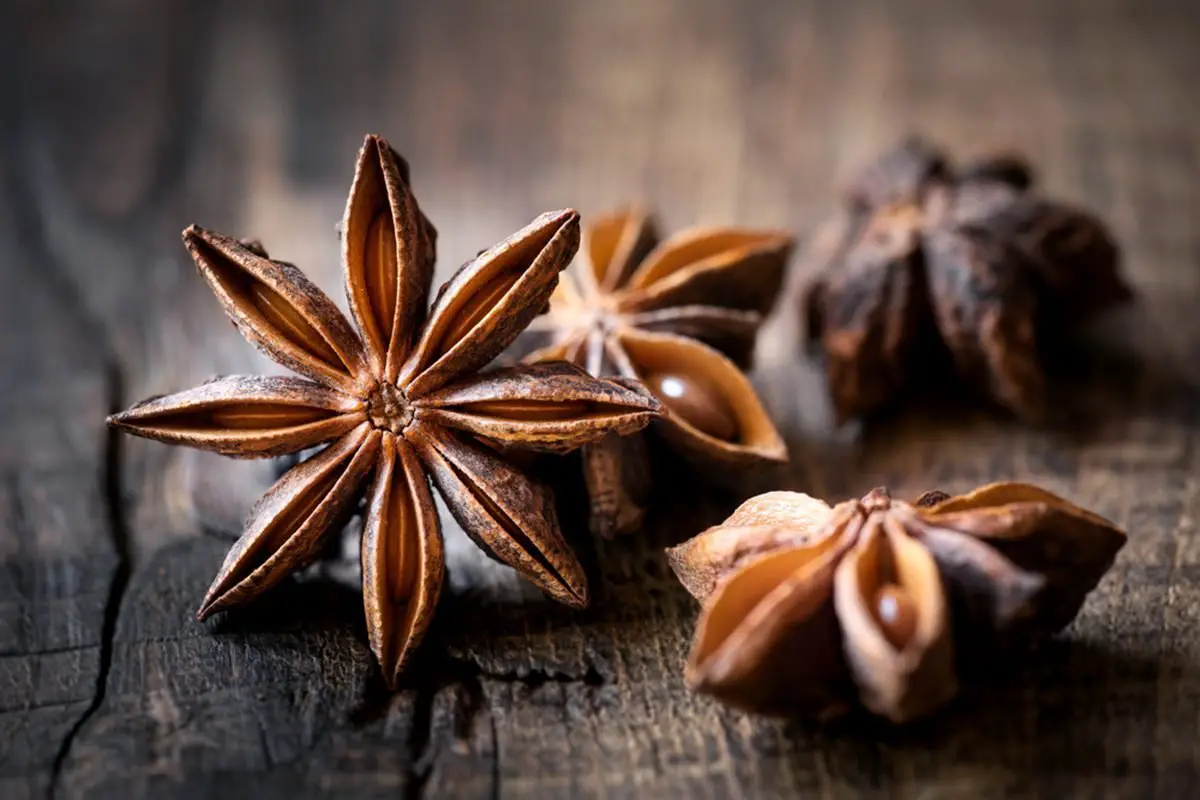 star-anise-as-Caraway-Seed-Substitutes