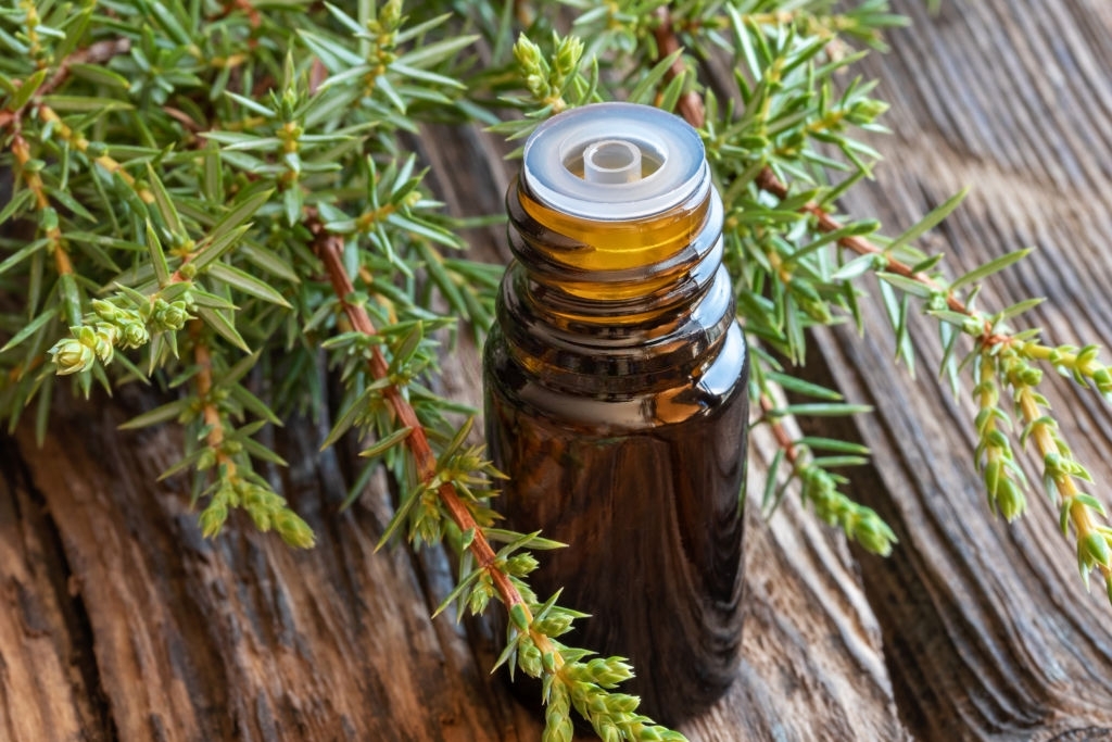 Juniper Essential Oil