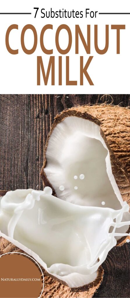 substitutes-for-coconut-milk(title-image)