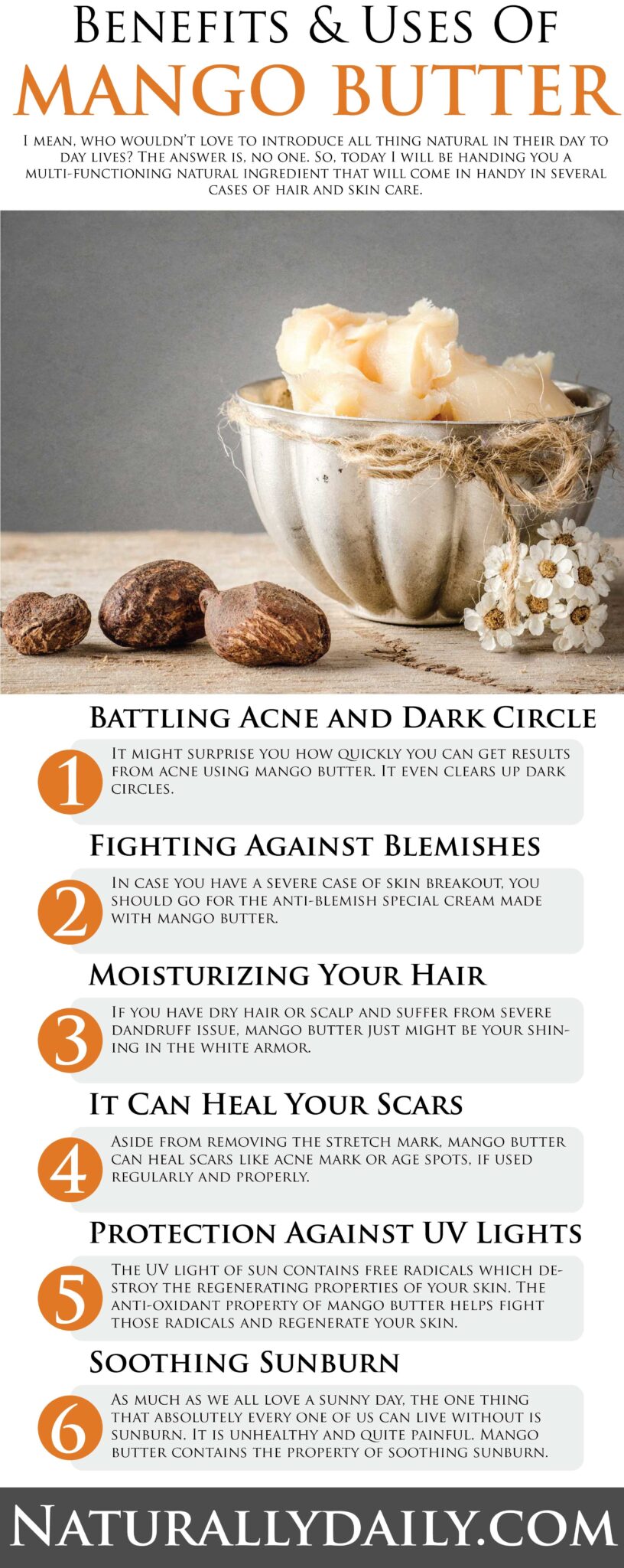 15 Amazing Mango Butter Benefits and Uses You Should Know Naturally Daily