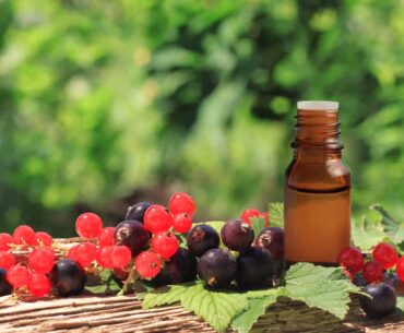 Health Benefits of Black Currant Seed Oil