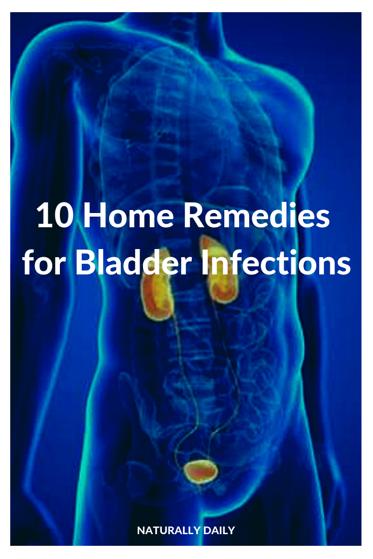 10-home-remedies-for-bladder-infections-that-really-work-naturally