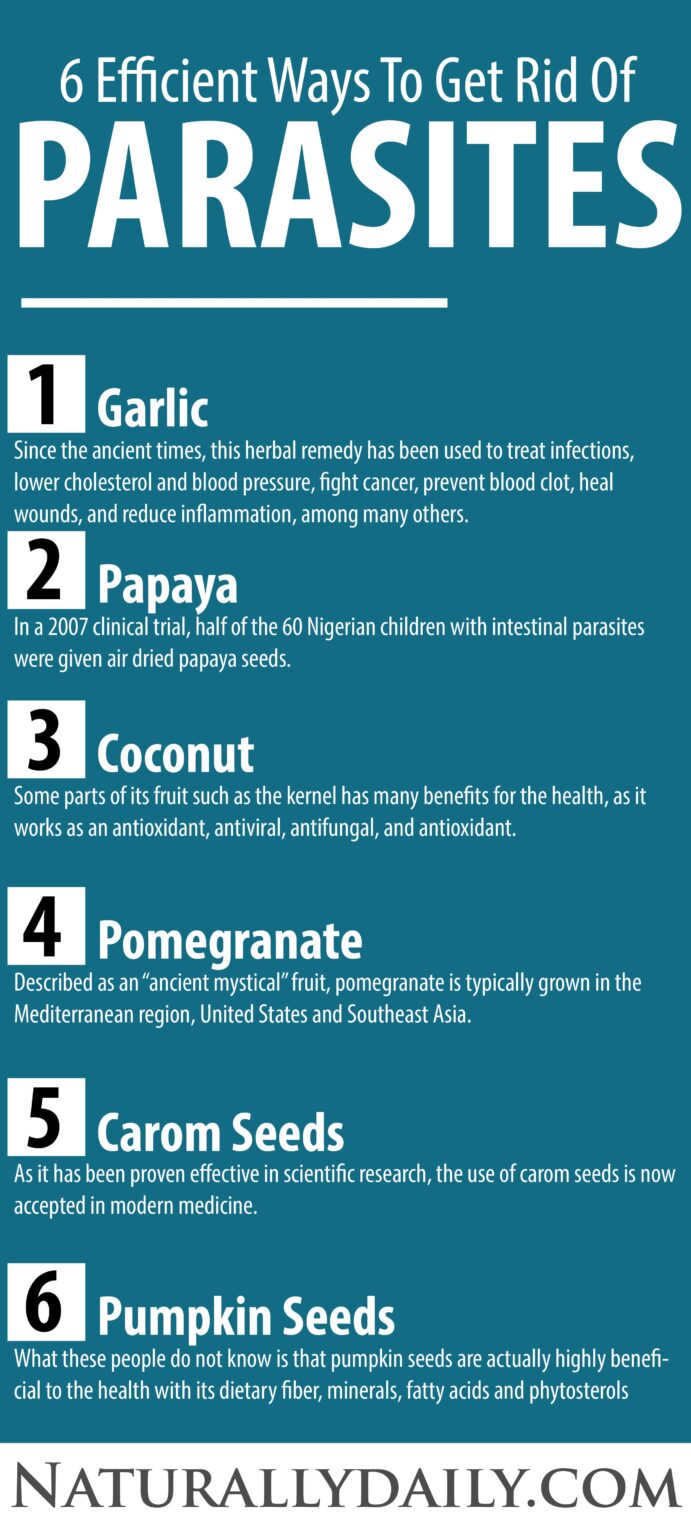 How to Get Rid of Parasites for Good 12 Efficient Ways Naturally Daily