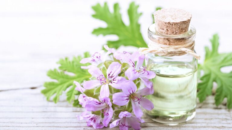 6 Essential Oils for Shingles + Self-Care Tips - Naturally Daily