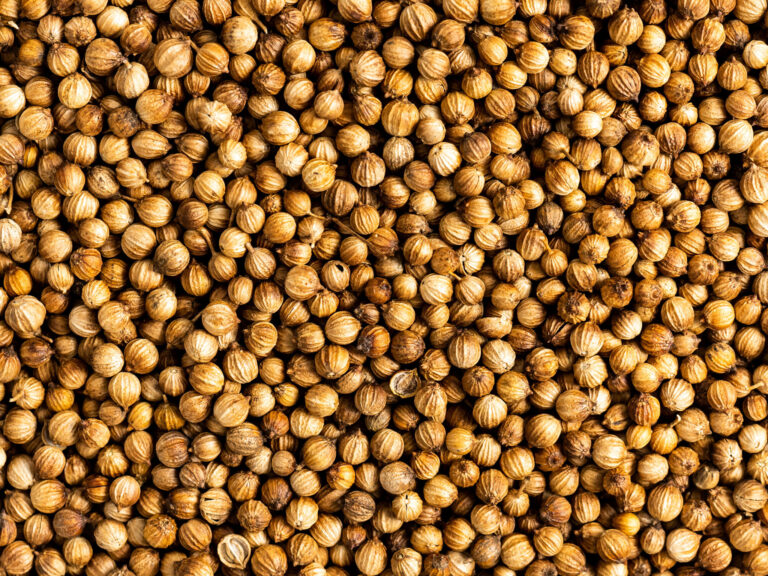 7 Coriander Seed Substitutes That You Need to Know! Naturally Daily