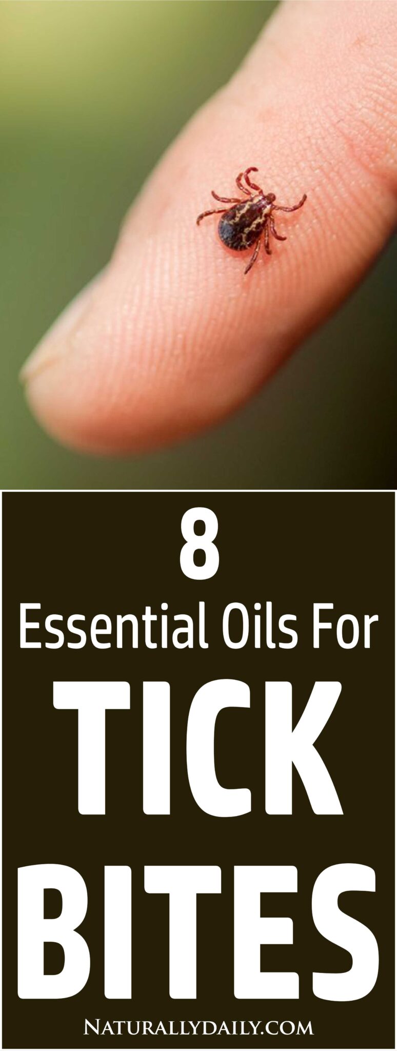 8 Best Essential Oils for Tick Bites Home Remedy - Naturally Daily