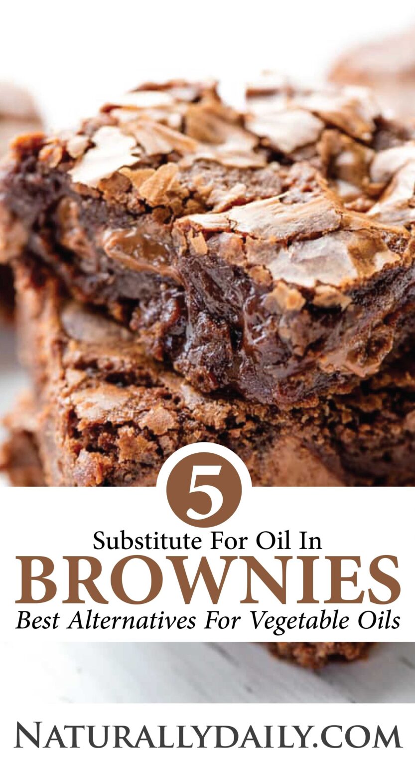 8 Best Substitutes for Vegetable Oil in Brownies Naturally Daily