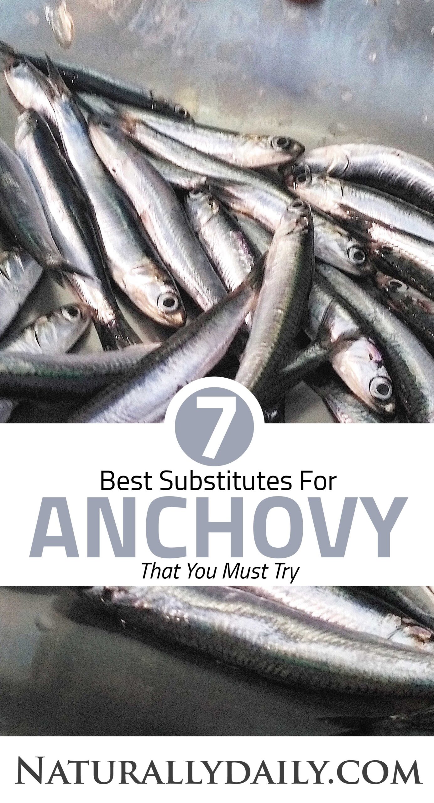 7 Best Substitutes for Anchovy Nonveg and Vegan Options Naturally Daily