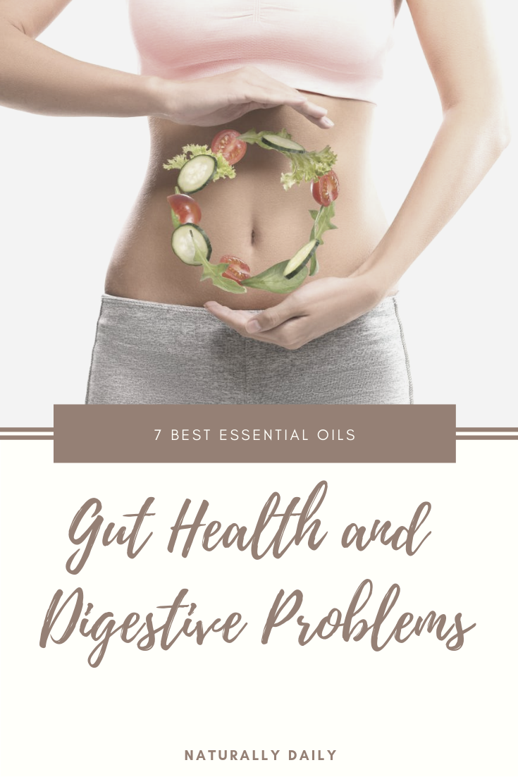 7 Best Essential Oils for Gut Health and Digestive Problems Naturally