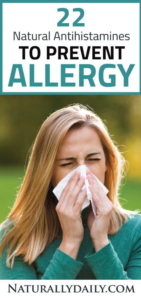 22+ Natural Antihistamines to Prevent Allergy - Naturally Daily