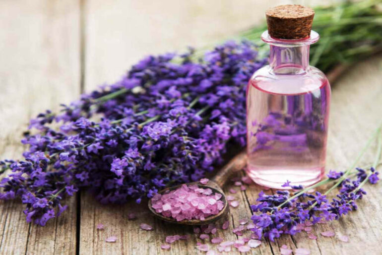 Lavender Oil