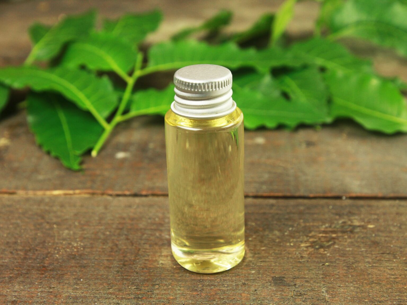 11 Essential Oils for Ringworm, Jock Itch, Athlete's Foot, Toenail