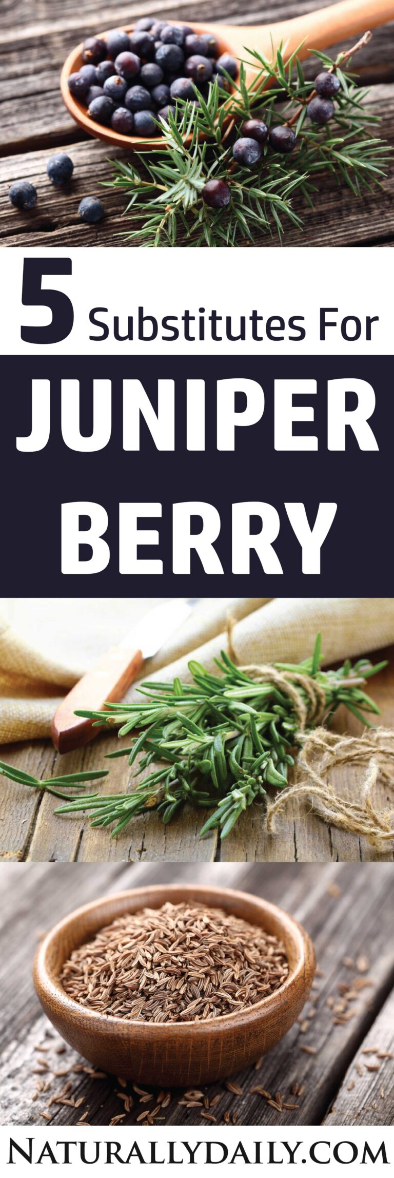 5 Good Juniper Berry Substitutes for Your Recipes
