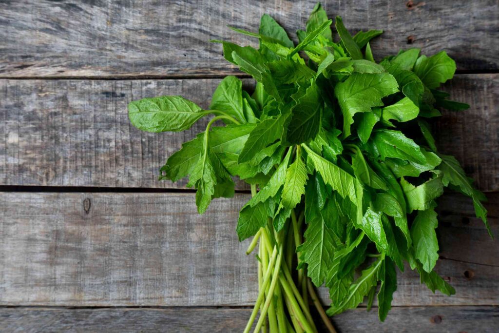 Substitute for Oil in Brownies 8 Best Alternatives for Vegetable Oils