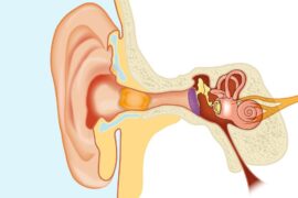 Essential Oils for Earwax