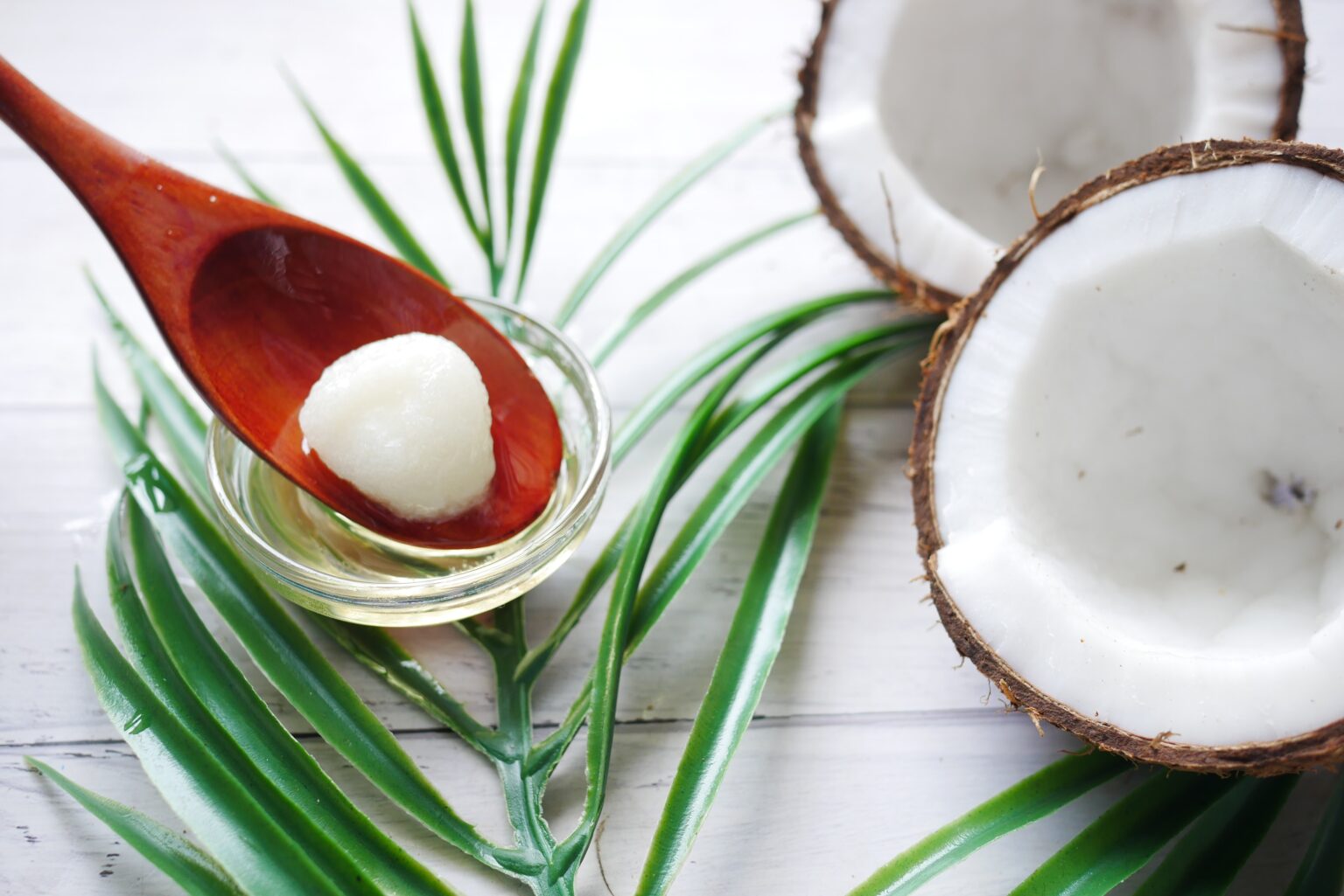 9 Home Remedies For Heartworms In Dogs And Prevention Tips Naturally
