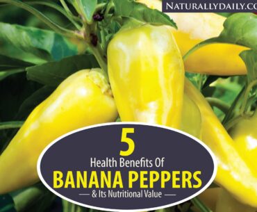 5-Health-Benefits-of-Banana-Peppers-and-Its-Nutritional-Value