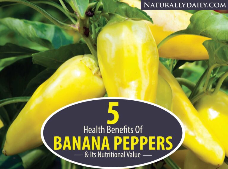 5 Health Benefits of Banana Peppers and Its Nutritional Value
