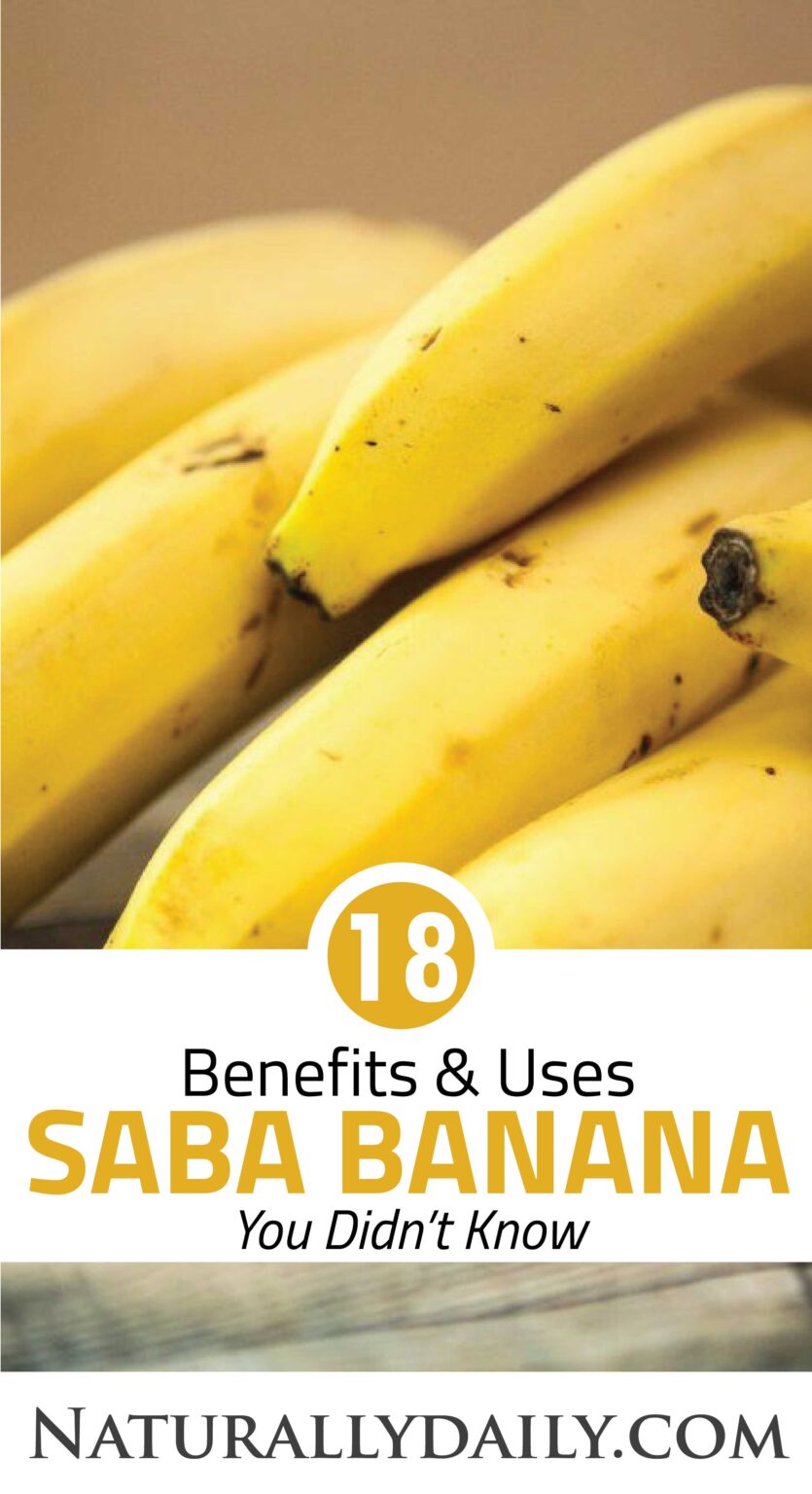 18 Saba Banana Benefits and Uses You Didn't Know