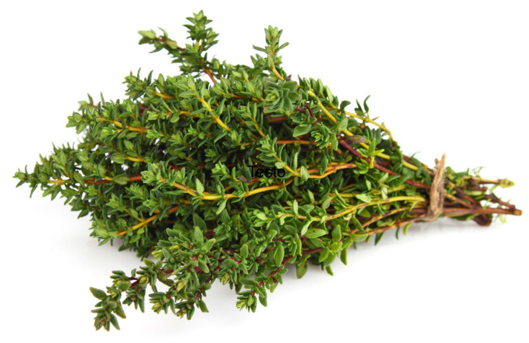 dry thyme substitute sprig
