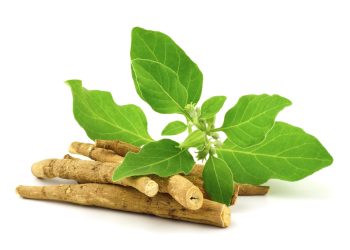 Enhancing Your Fitness Journey: A Natural Approach