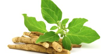 Enhancing Your Fitness Journey: A Natural Approach